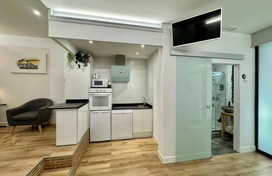 Loft Centre Santander-1