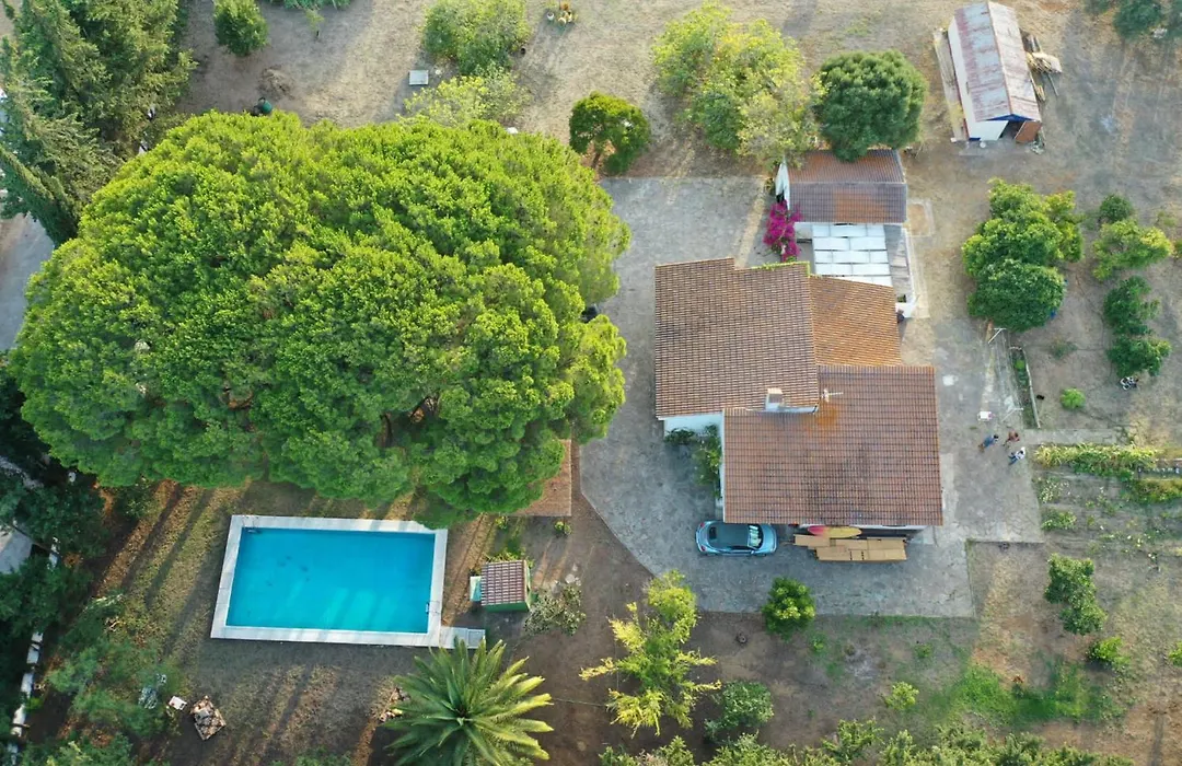 Casa del Buho-1