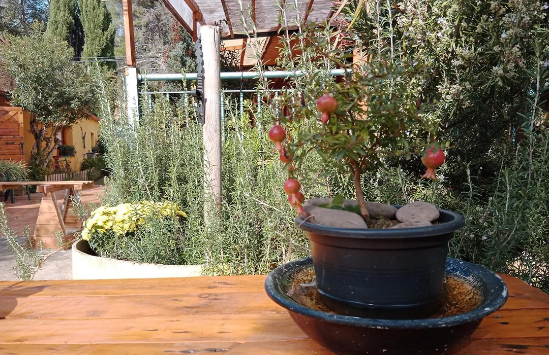 El Pinar De Bardena-1