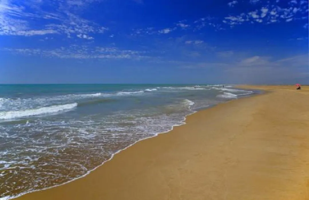 Mas Illa de Riu - Auténtica Masía del Delta del Ebro con capacidad para 20 personas - Deltavacaciones-1