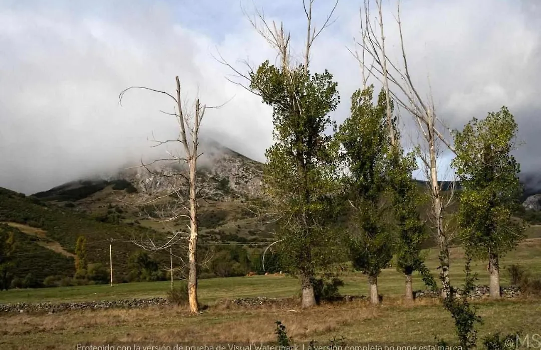 Casa rural la parda-1