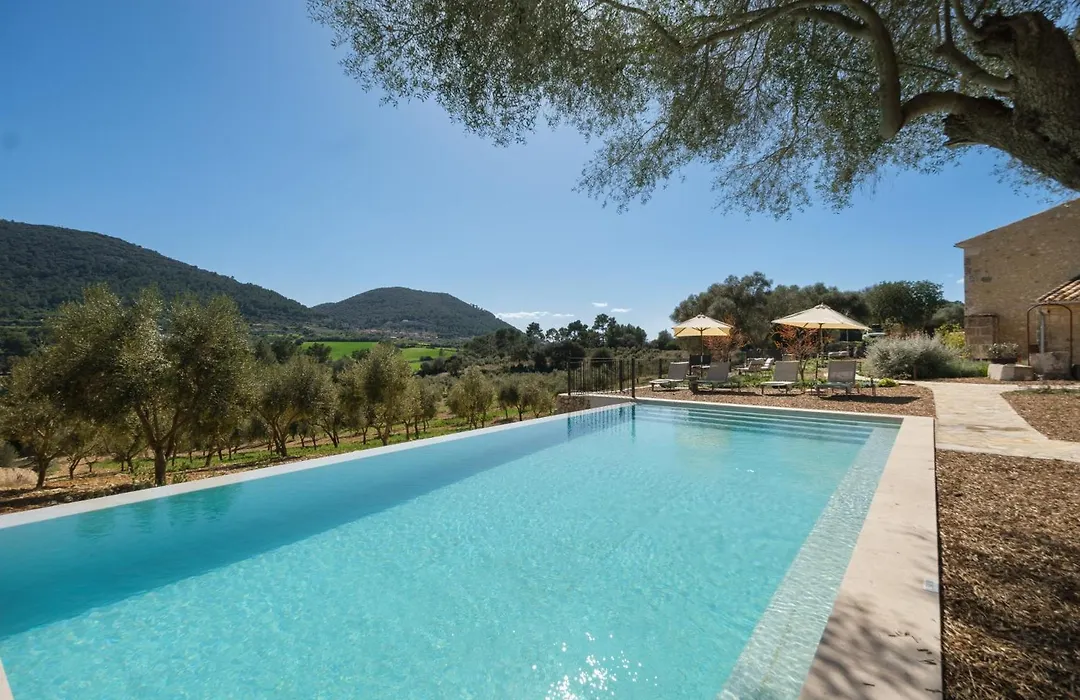 Fincahotel Treurer - Olive Grove & Grand House - Adults Only-1