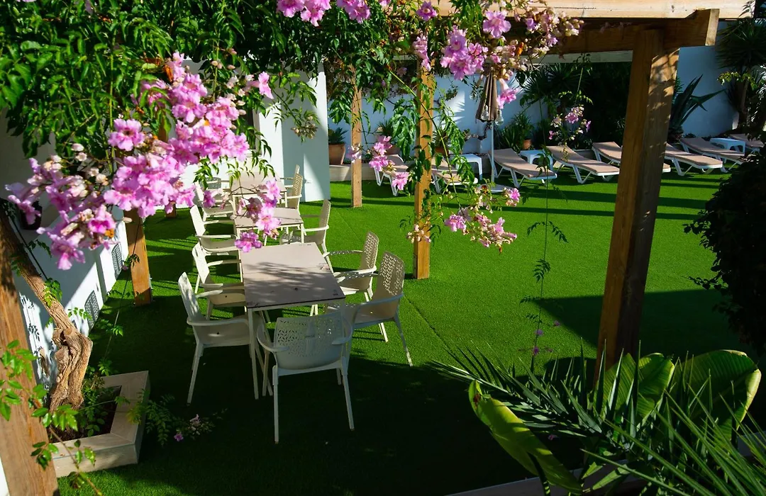 Hotel Tarba-1