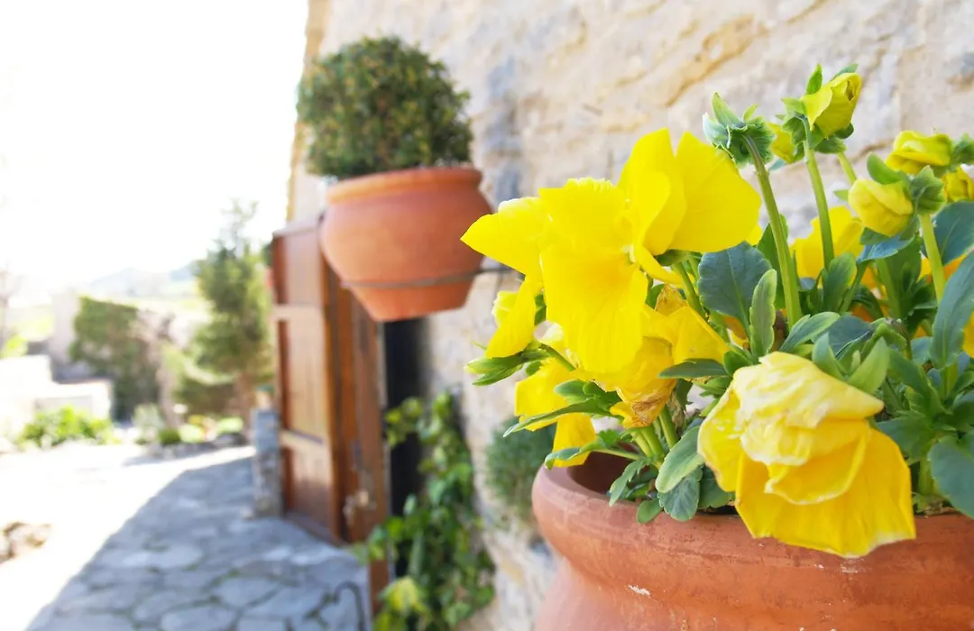 Casa Rural Torre Gargallo-1