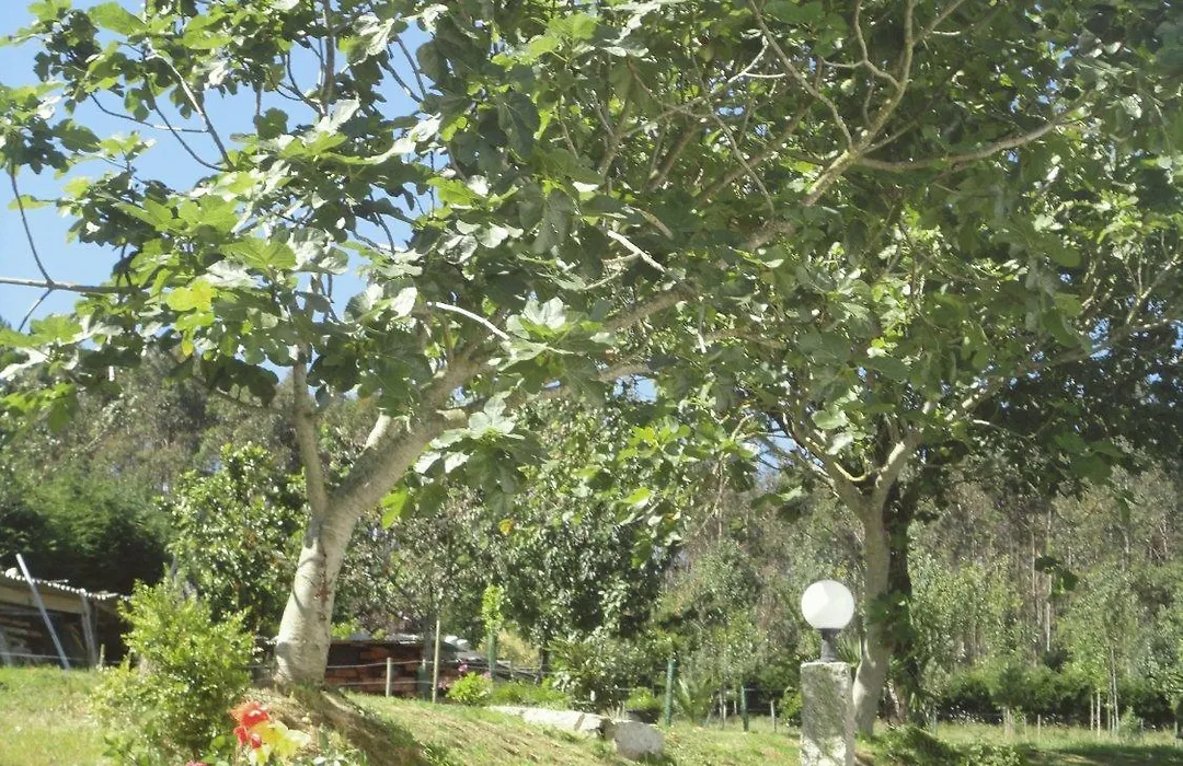 Casa Rural Vila Pomar-1