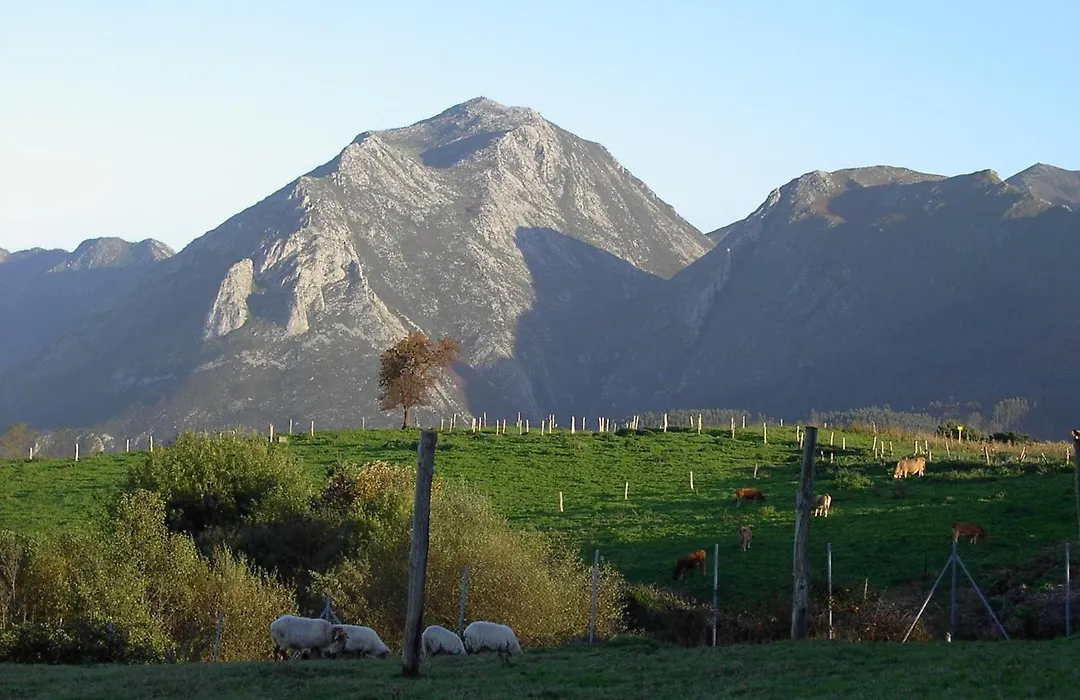 Paraje Del Asturcon - Adults Only-1