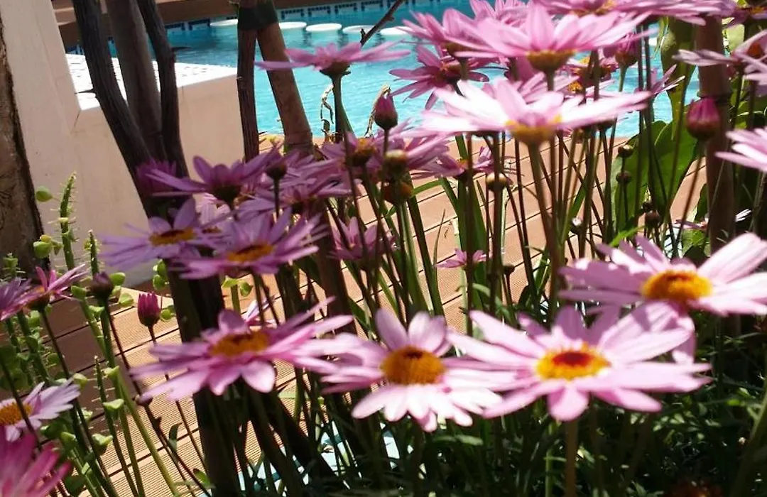 Banus Lodge-1