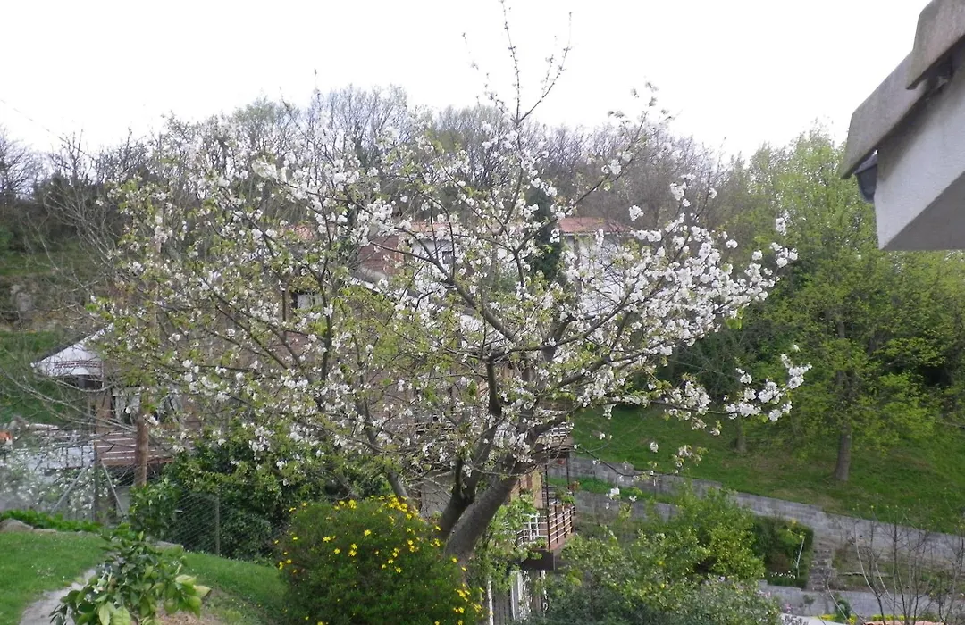 Casa Rural Higeralde-1