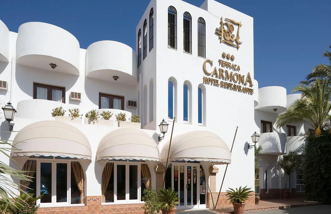 Hotel Terraza Carmona-1