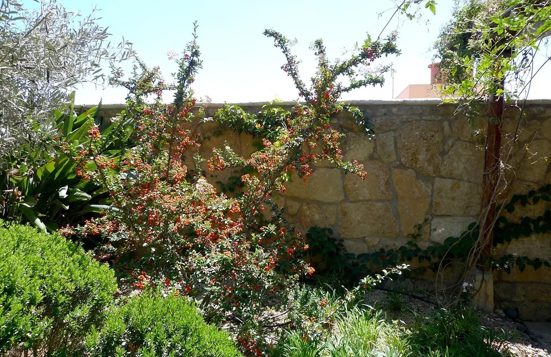 Hotel Rural San Miguel - Only Adults-1