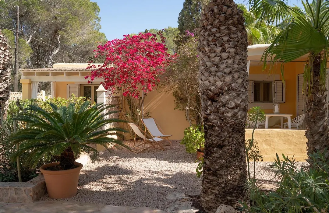Bungalows Casa Amarilla-1