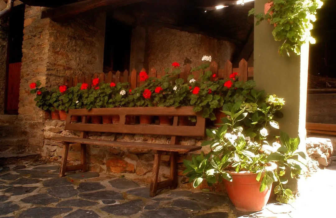 Casa Mario-1