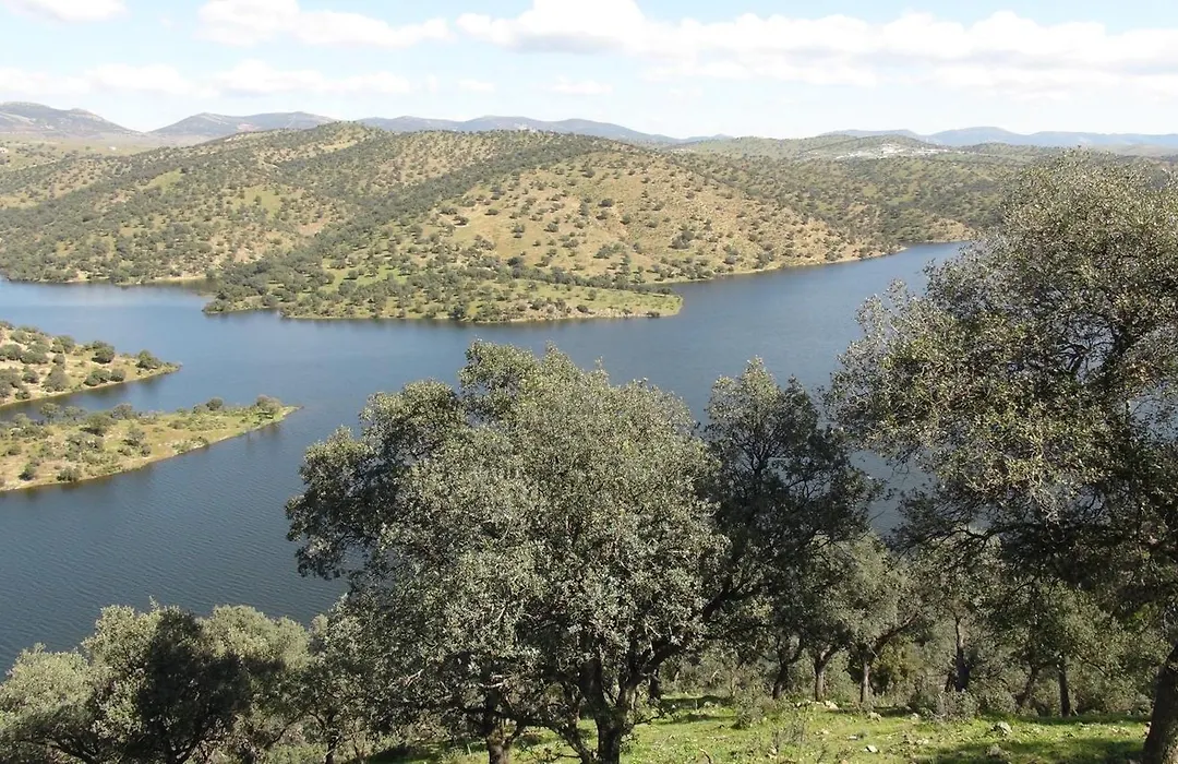 Casa Del Valle, Lodges-1