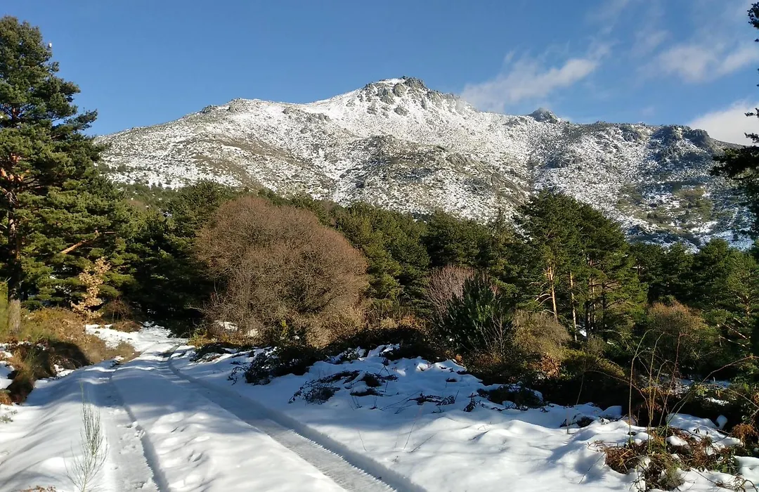 Complejo Turístico Las Cañadas Casas de Campo- Actividades Gratuitas Todos los Fines de Semana-1