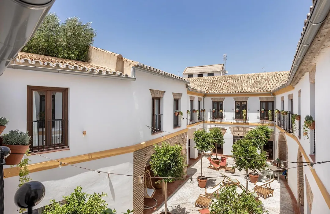 Cats Hostel Cordoba-1