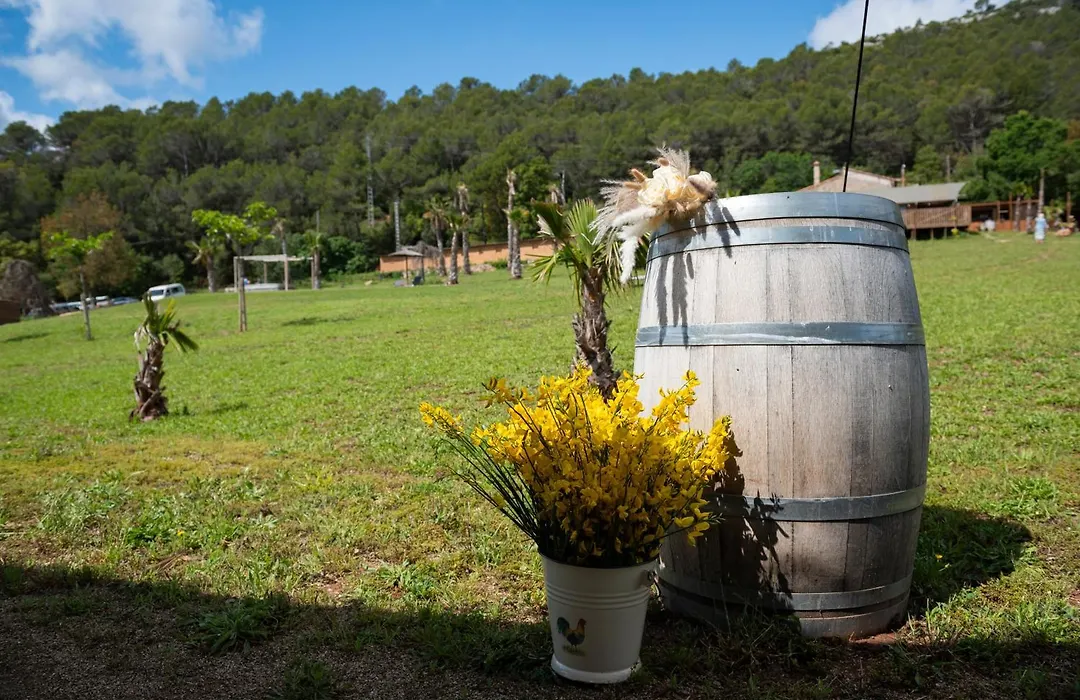 Glamping VALL de CODÓ-1