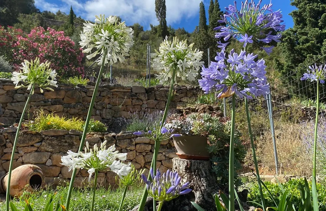 Apartamentos Casa Lola Beceite, vistas montaña y petfriendly-1