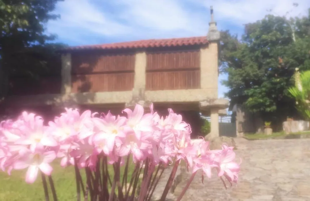 Casal De Folgueiras Rias Baixas-1
