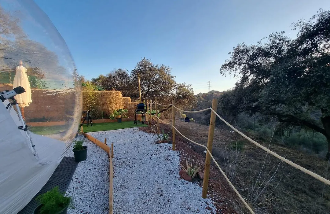 Glamping Burbuja Los Almendros-1