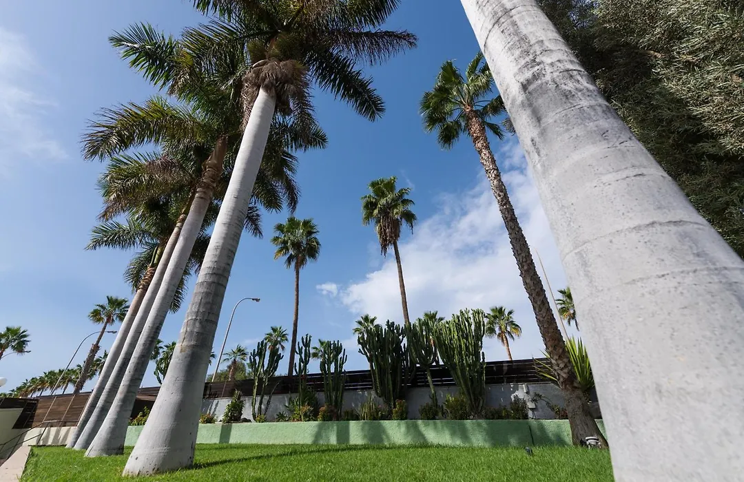 eó Maspalomas Resort-1
