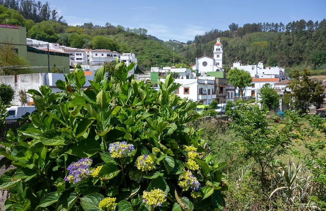 casa La cabaña Villa Palomino-1