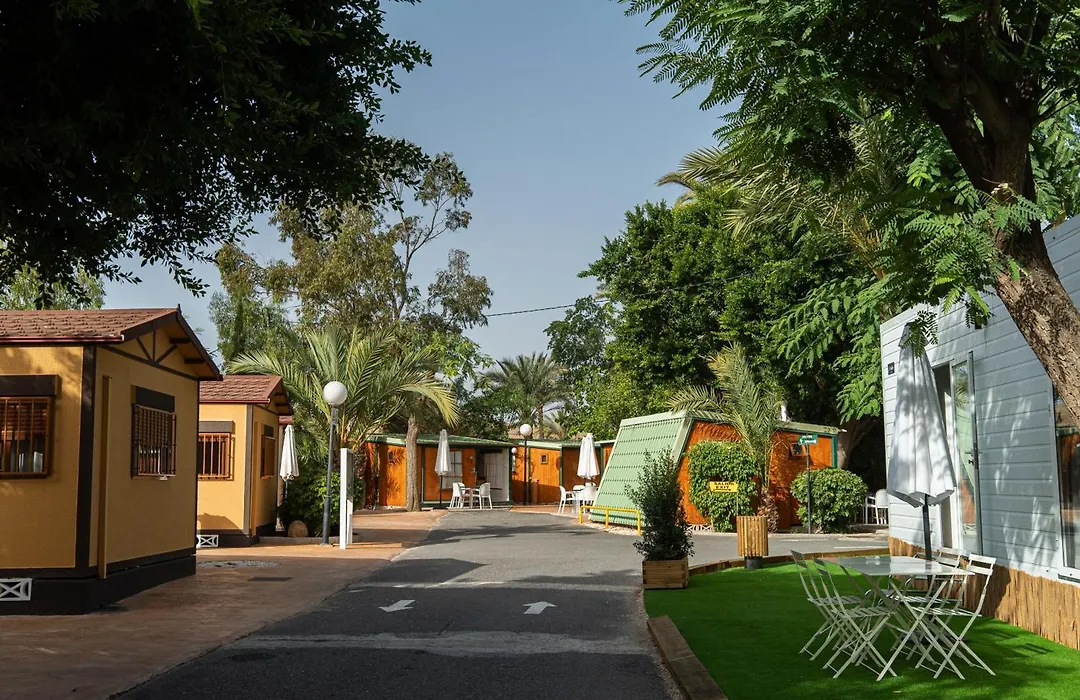 Camping Las Palmeras-1