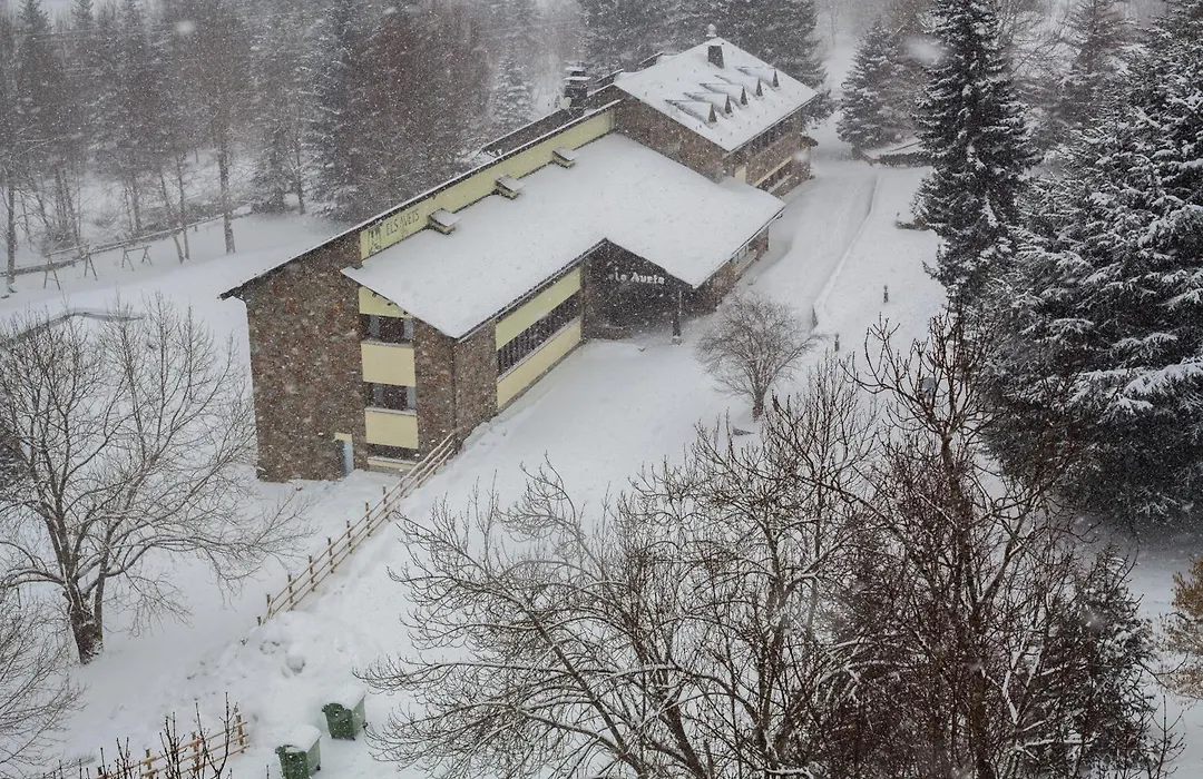 Hotel Els Avets-1