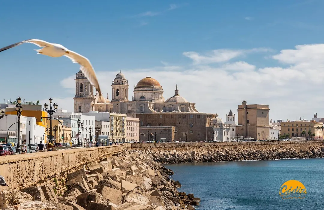 Delfin Azul By Cadiz Time-1