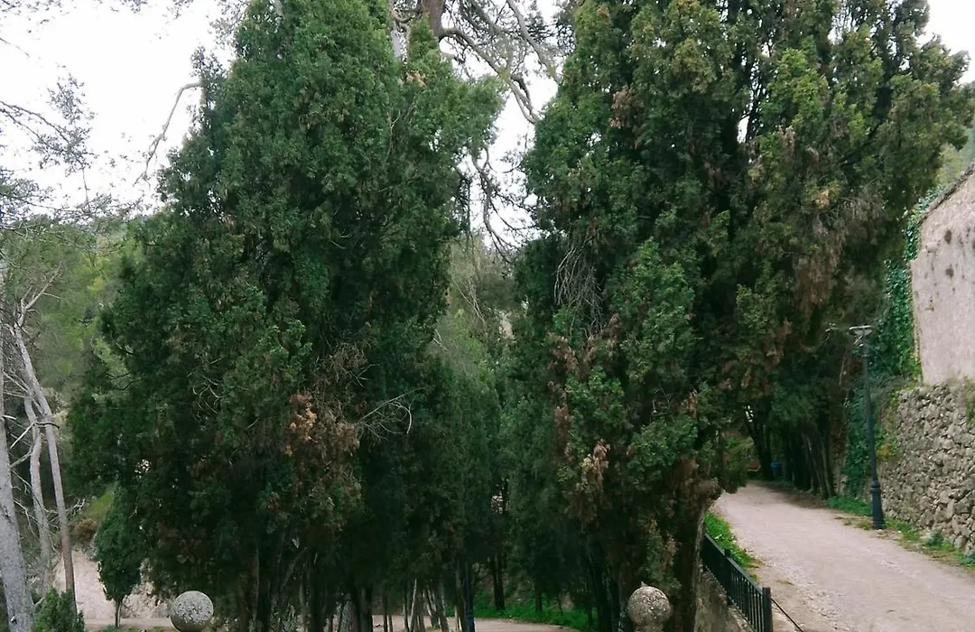 Casa Isabella-1