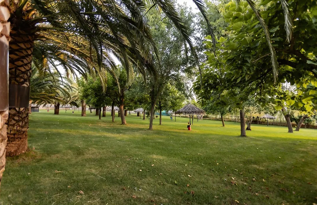 Hostal - Bungalows Camping Cáceres-1