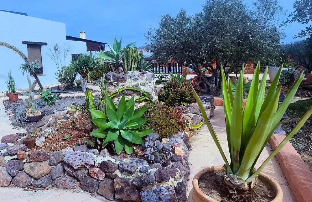 Olivares Rural-1