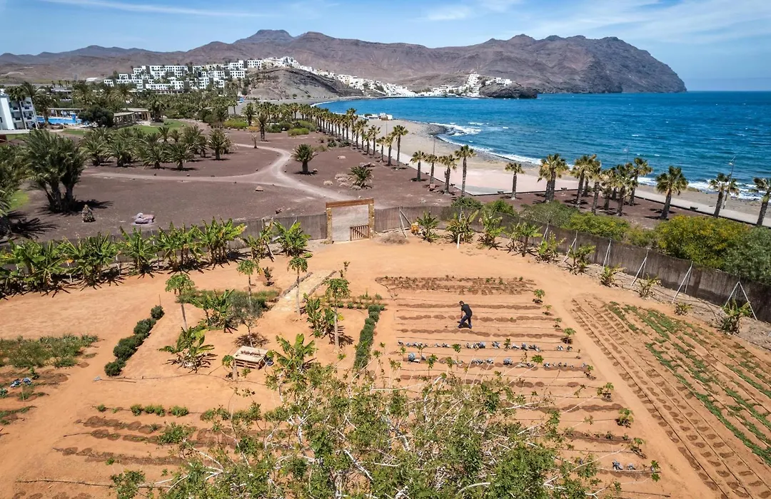 Playitas Villas - Sports Resort-1