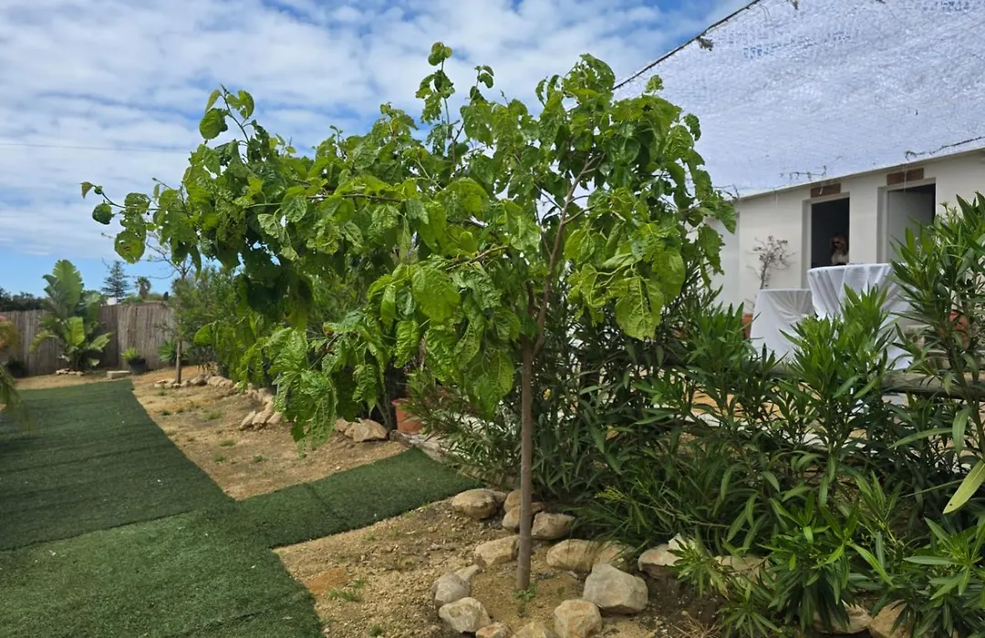 Boho Glamping en Complejo Rural el Mayorazgo-1