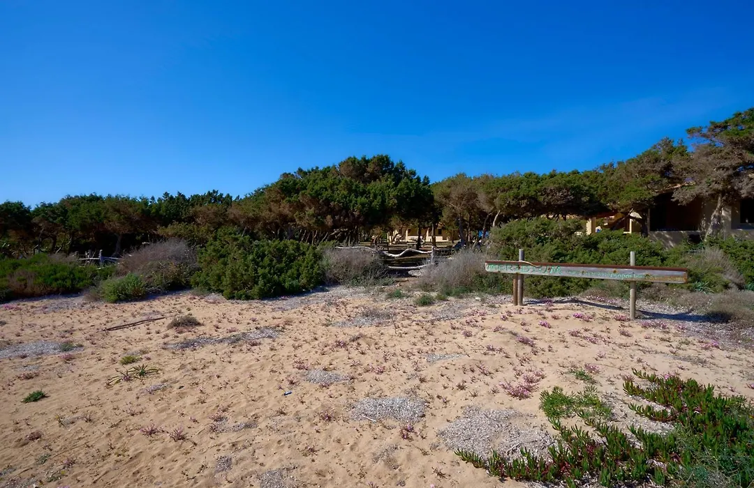 Meridium Formentera By Tentol Hotels-1
