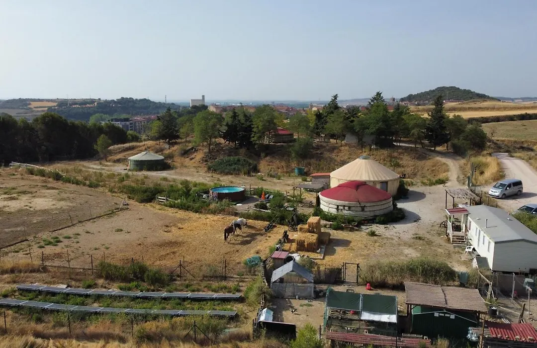 Campo de Reyes-1