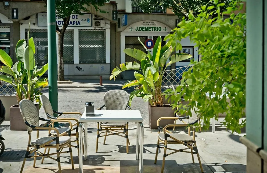 Hostal Carmen-1