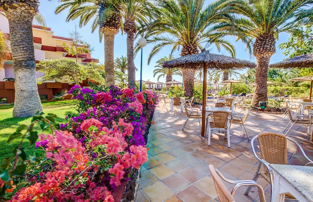 Sbh Fuerteventura Playa (Adults Only)-1