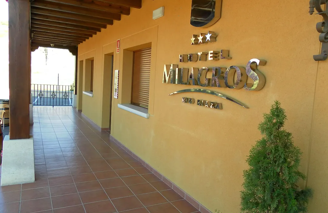 Hotel Milagros Rio Riaza-1