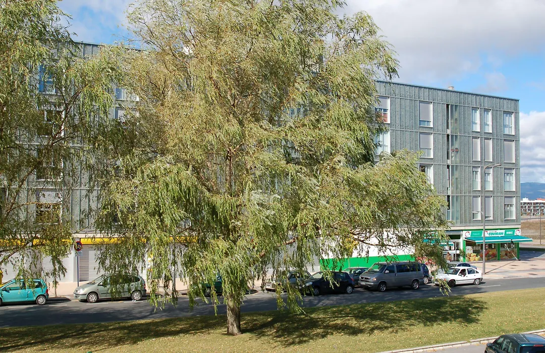Iraipe Gorbea Auto Check-In-1