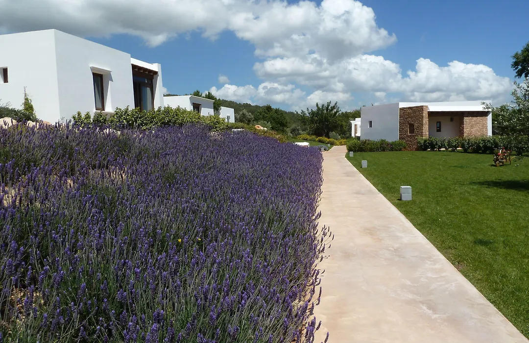 Casa Maca-1