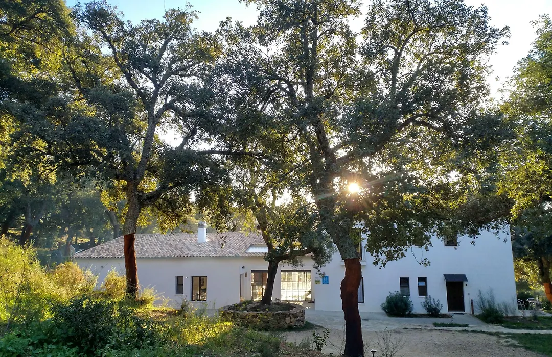 Tambor Del Llano-1
