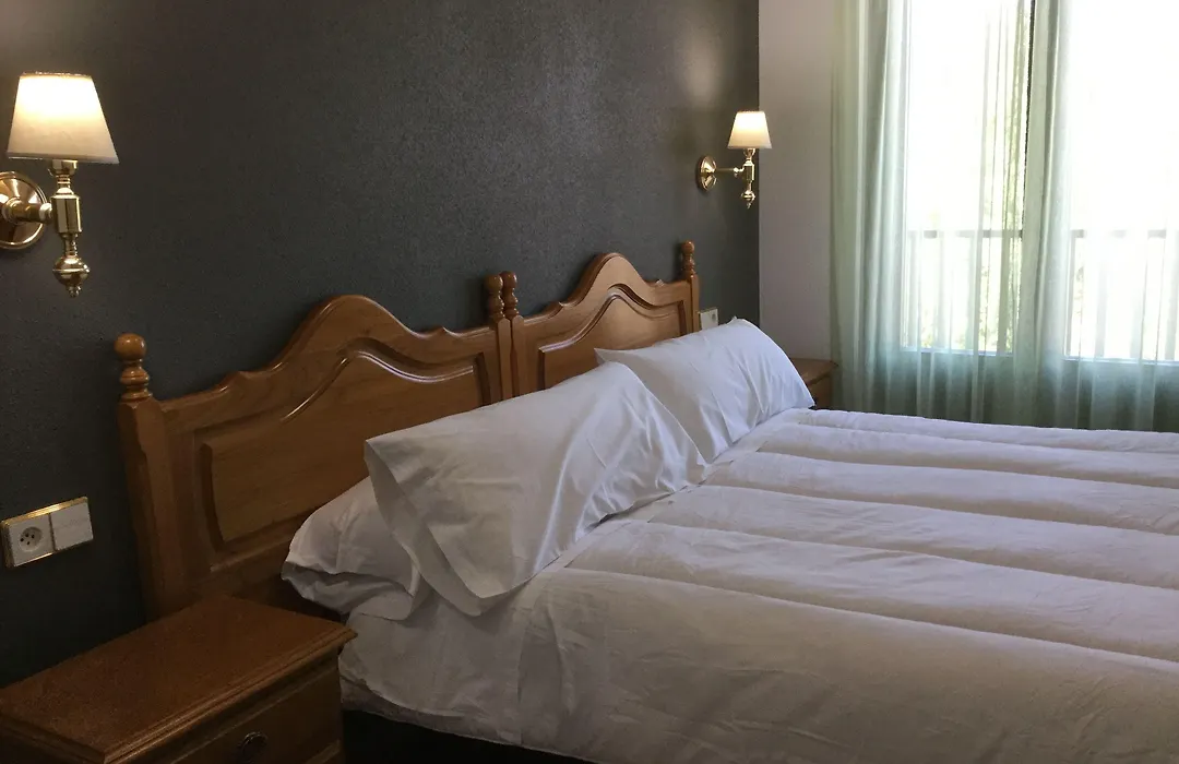Hotel Cinco Castaños-1