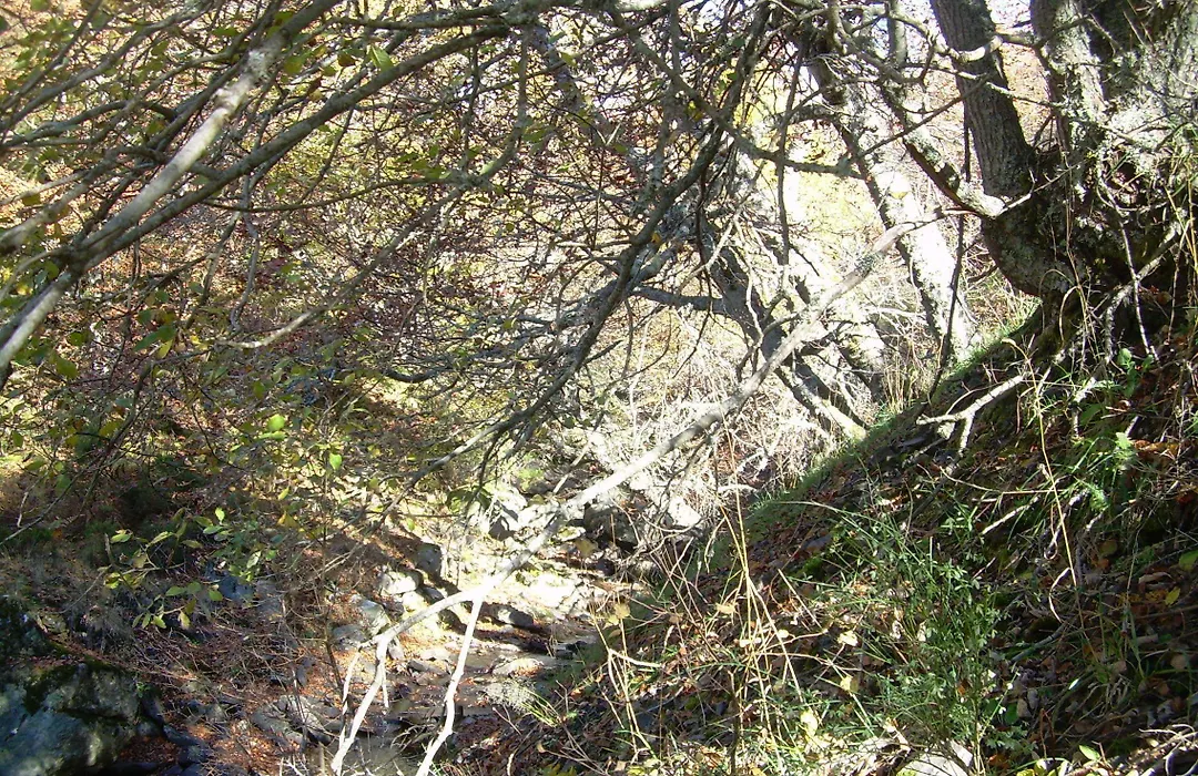 Casa Grabelon-1