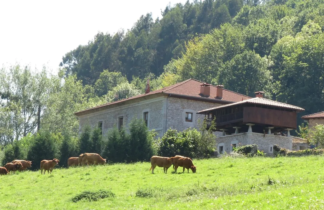 Agroturismo La Casona de Belmonte-1