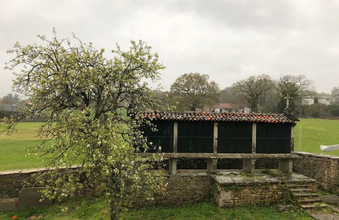 Pazo de Laia-1