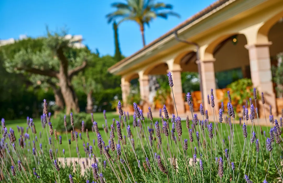 Cm Mallorca Palace - Only Adults-1