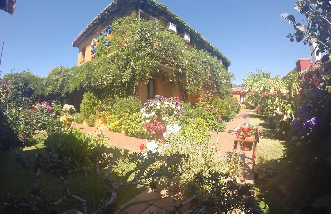 Hotel Doñana Blues-1