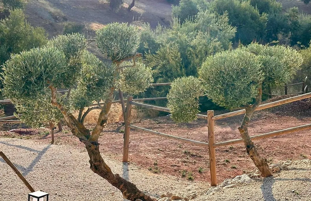 Hacienda El Tarajal-1
