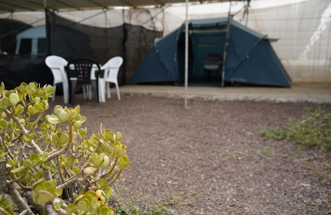 Agrocamping Invernaderito-1
