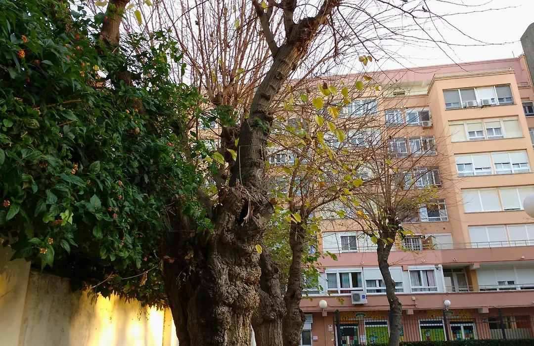 Apartamento Ecuador-1